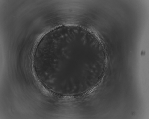X0000091240145200708231725