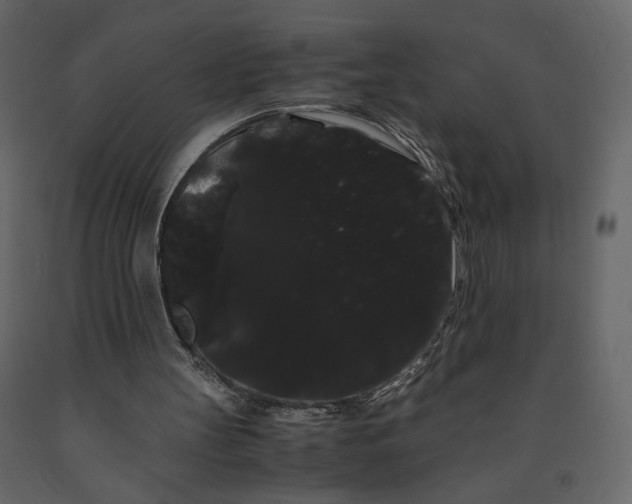 X0000091240147200708231725