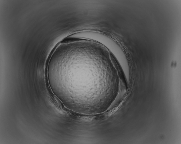 X0000091240148200708231725