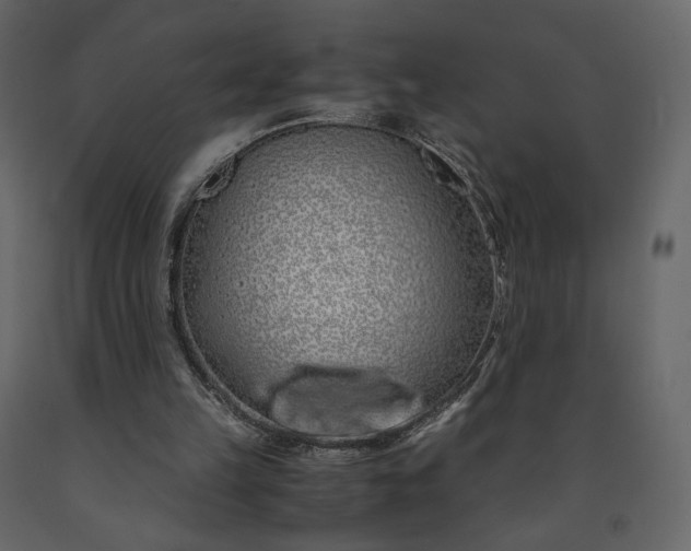 X0000091240149200708231725