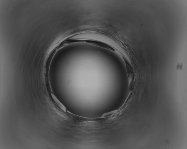 X0000091240150200708231725
