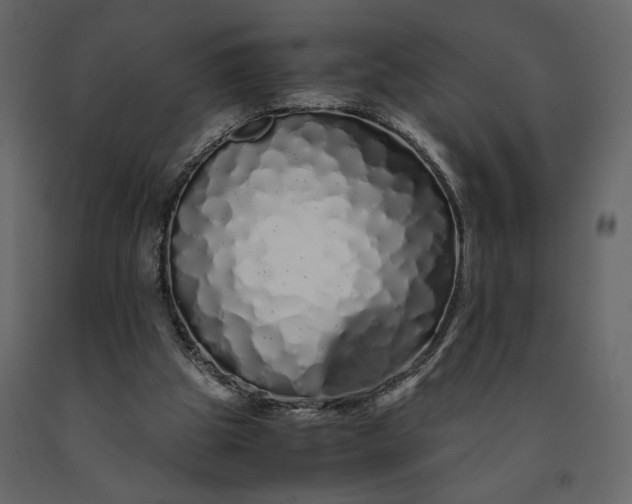 X0000091240153200708231725