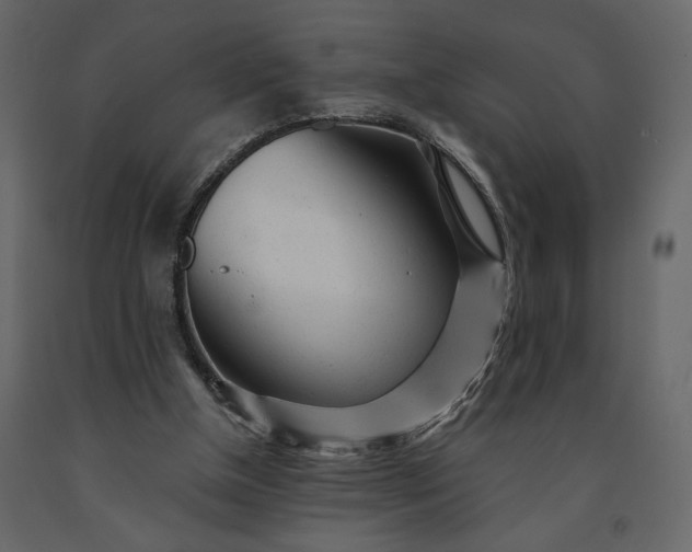 X0000091240154200708231725