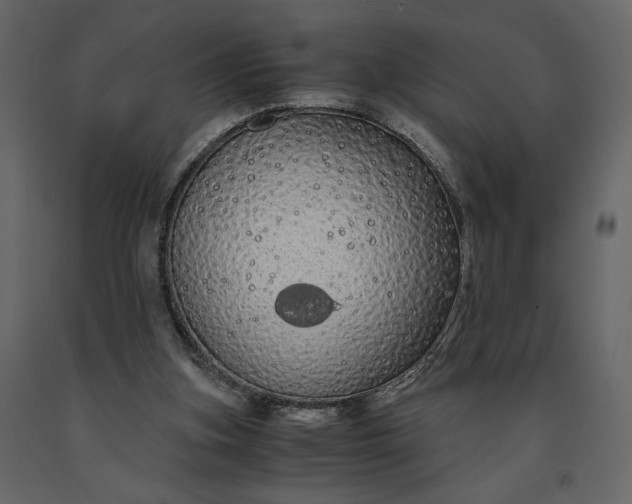 X0000091240155200708231725