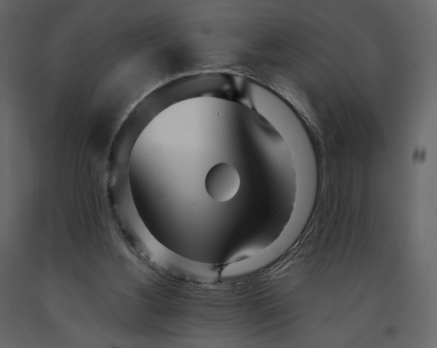 X0000091240156200708231725