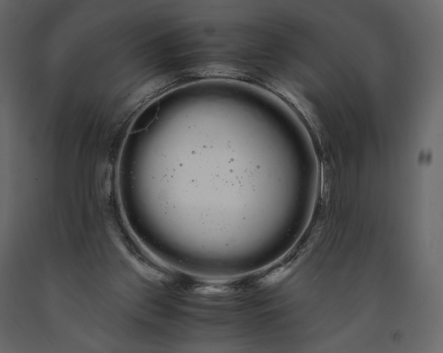 X0000091240157200708231725
