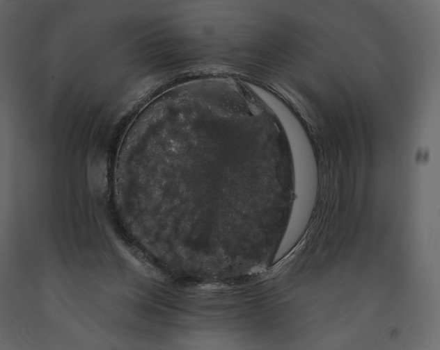 X0000091240158200708231725