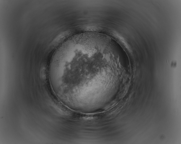 X0000091240161200708231725