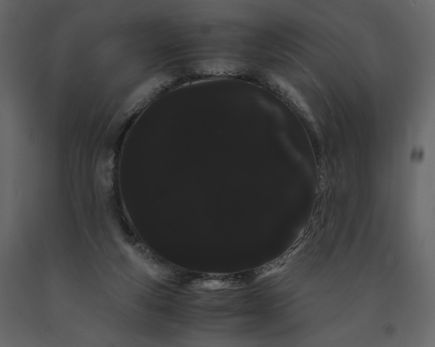 X0000091240163200708231725