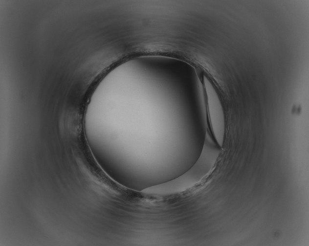 X0000091240164200708231725