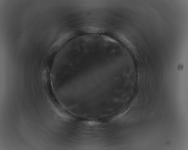 X0000091240165200708231725