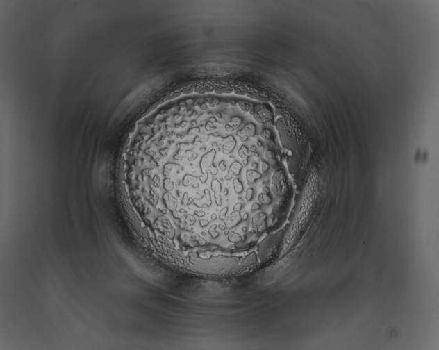X0000091240166200708231725