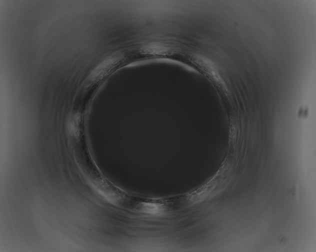 X0000091240167200708231725