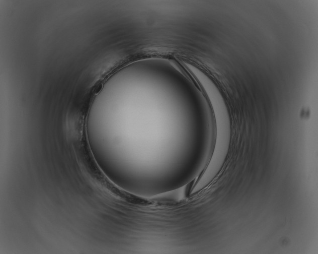 X0000091240168200708231725