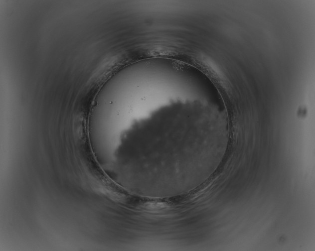 X0000091240169200708231725