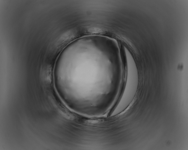 X0000091240170200708231725