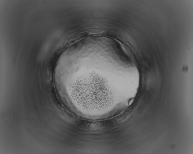 X0000091240173200708231725