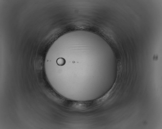 X0000091240174200708231725