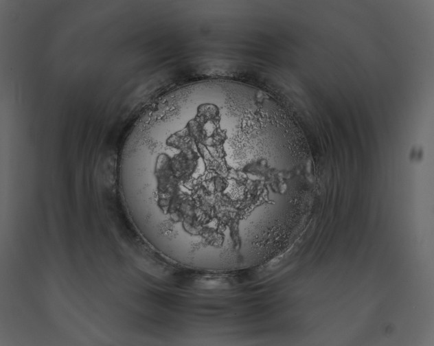X0000091240175200708231725