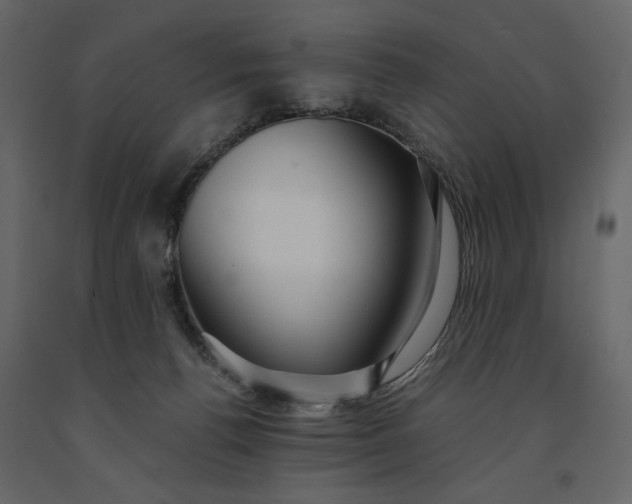 X0000091240176200708231725