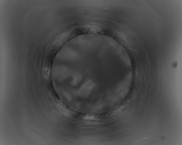 X0000091240177200708231725