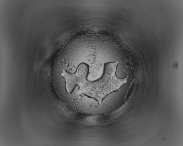X0000091240178200708231725