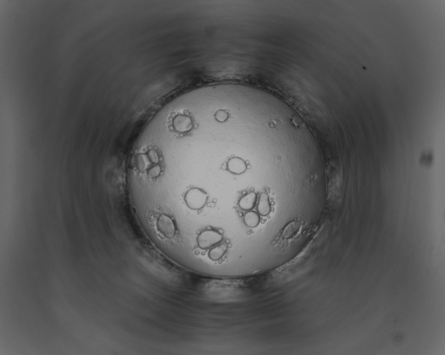 X0000091240179200708231725