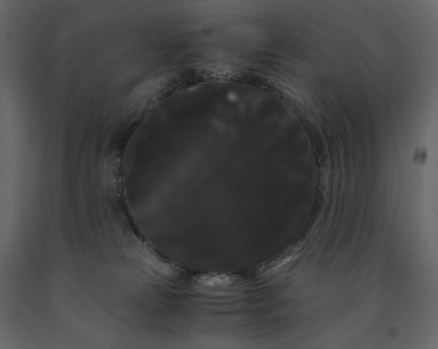 X0000091240181200708231725