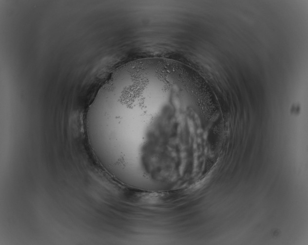 X0000091240182200708231725