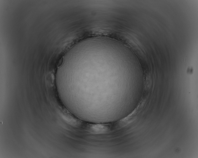 X0000091240183200708231726