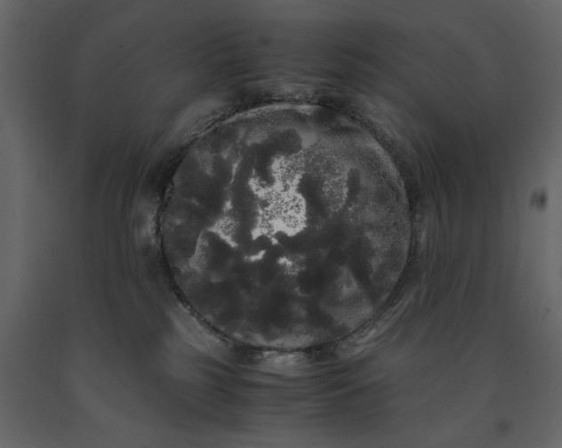 X0000091240185200708231726