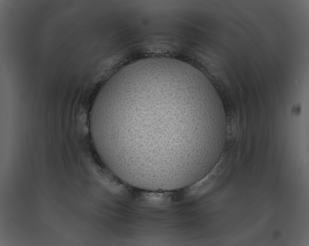 X0000091240187200708231726