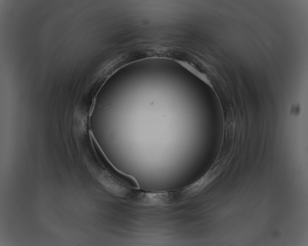 X0000091240188200708231726