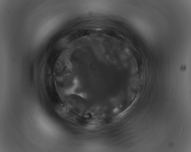 X0000091240191200708231726