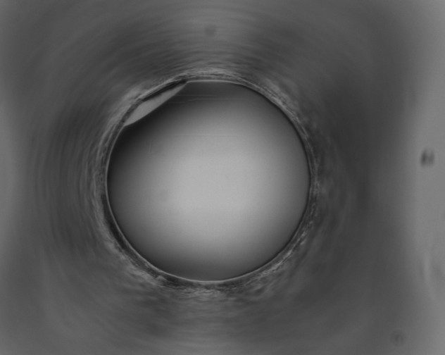 X0000091240193200708231725