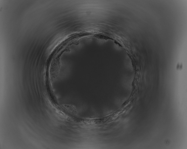 X0000091240194200708231725