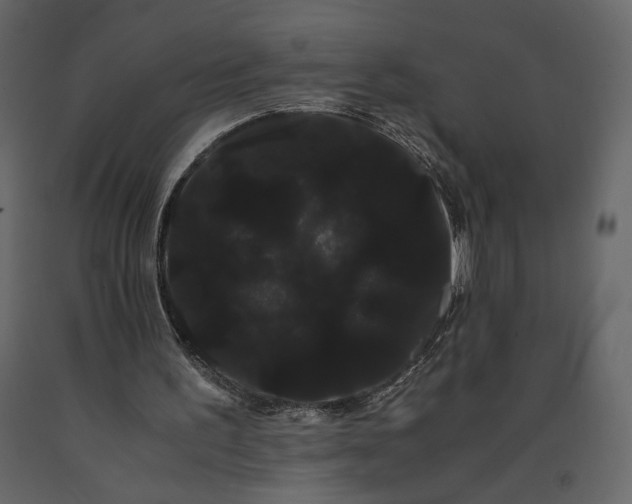 X0000091240195200708231725