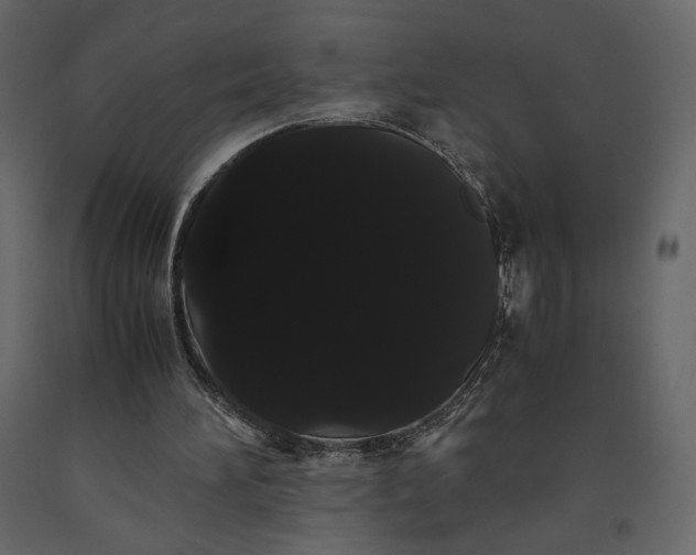 X0000091240196200708231725