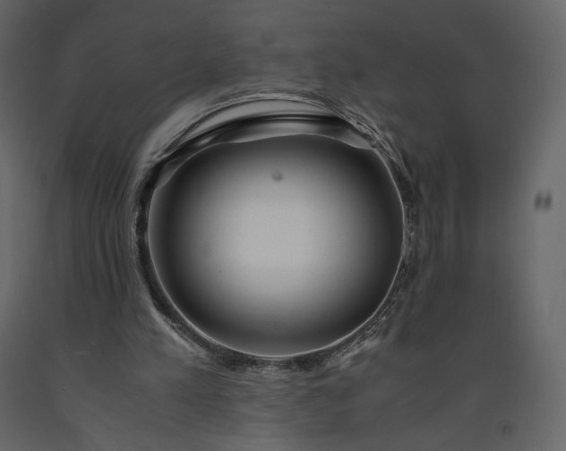 X0000091240197200708231725