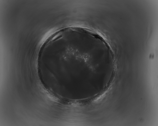 X0000091240199200708231725