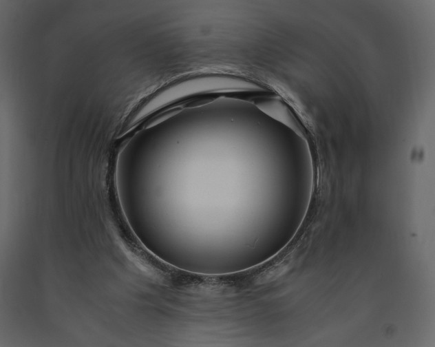 X0000091240201200708231725