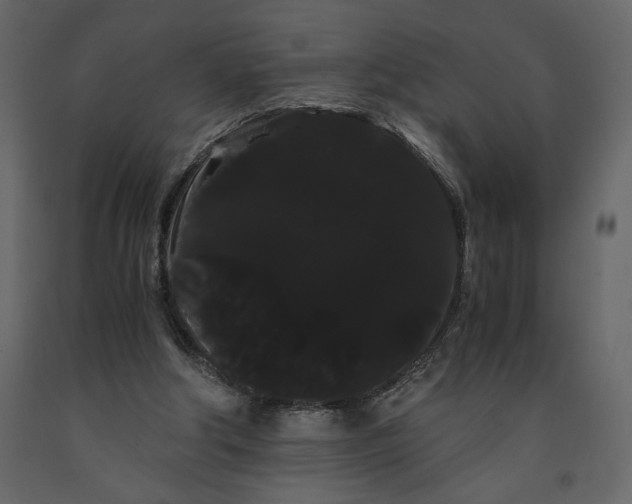 X0000091240202200708231725