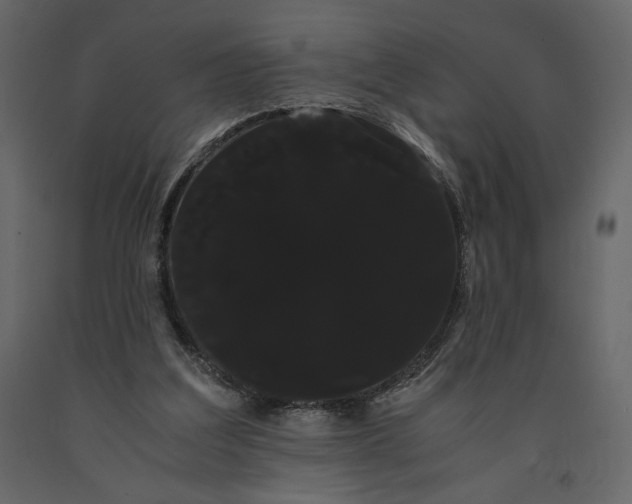 X0000091240203200708231725