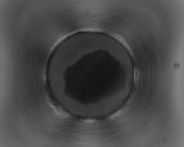 X0000091240204200708231725