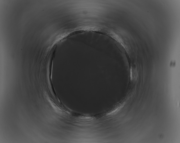 X0000091240205200708231725