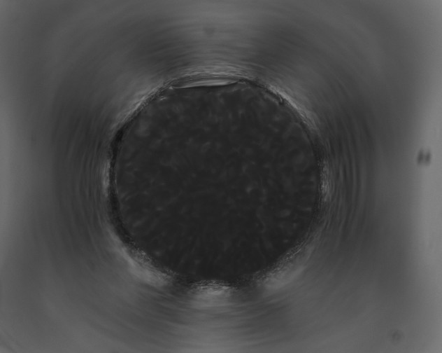 X0000091240206200708231725