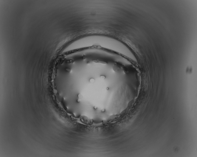 X0000091240207200708231725