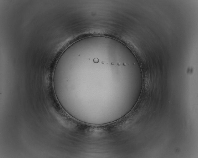 X0000091240208200708231725