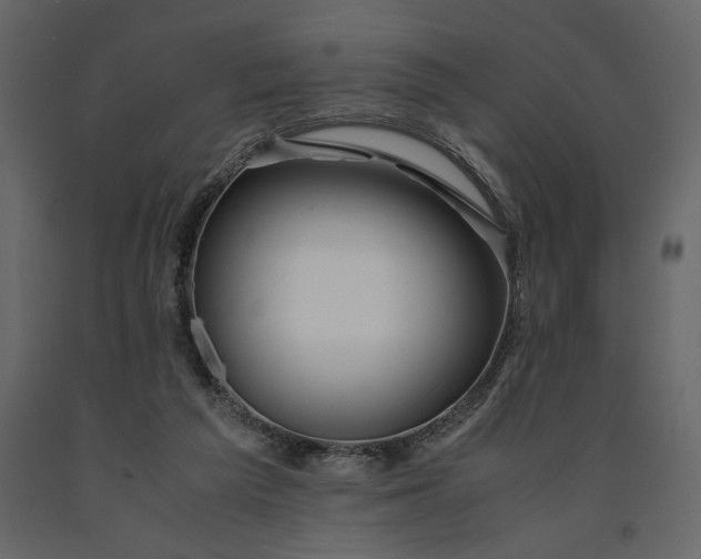 X0000091240209200708231725
