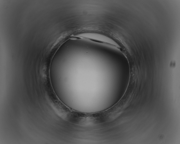 X0000091240212200708231725